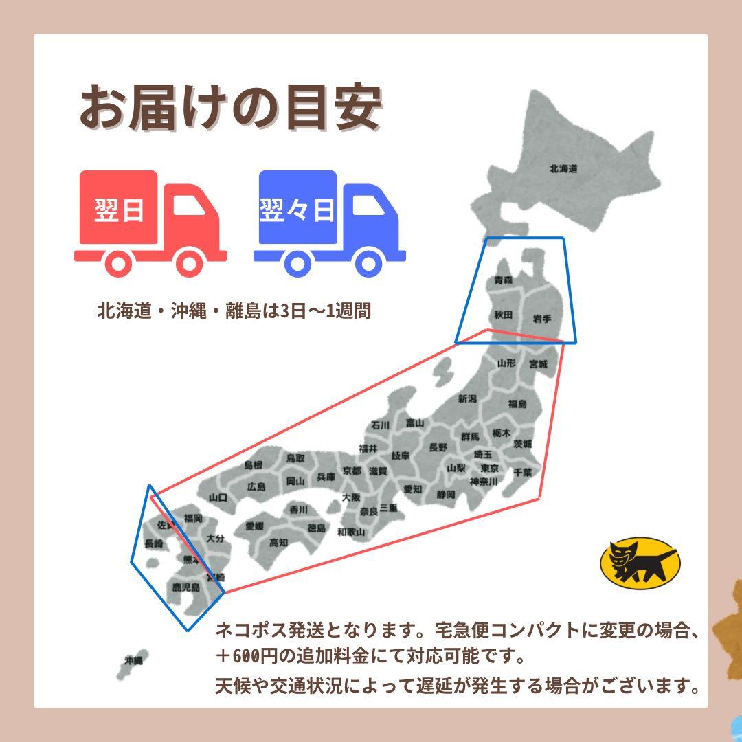 未開封 iPhone 17 Pro 256 GB SIMフリー オレンジ 本体