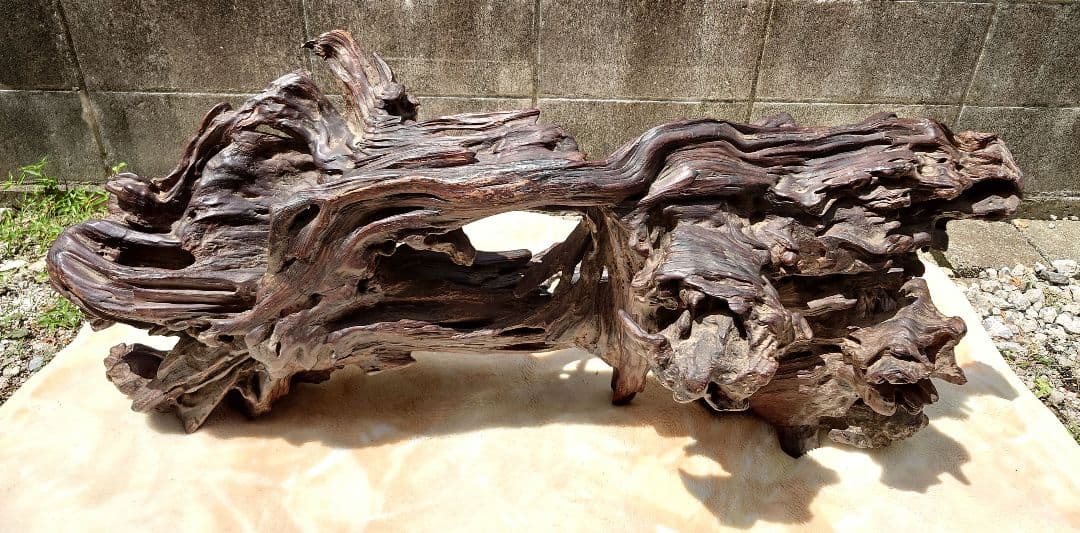 天然木根瘤 自然造形花器 置物 鑑賞木 瘤木 木のオブジェ 根木台 飾台 木目