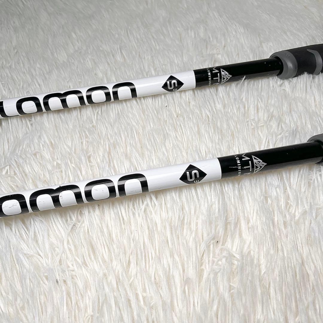 【良品】Salomon サロモン S3 スキーポール