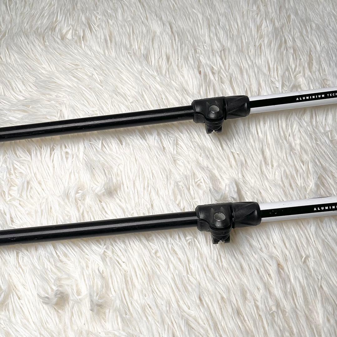 【良品】Salomon サロモン S3 スキーポール