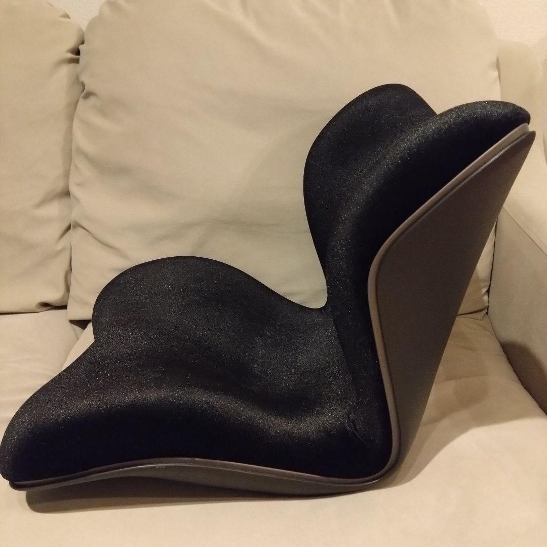 【美品】Style PREMIUM DX スタイルプレミアムデラックス　ブラック