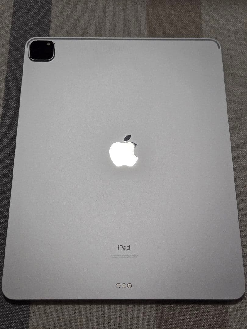 【極美品】Apple iPad Pro 12.9 第5世代 256GB