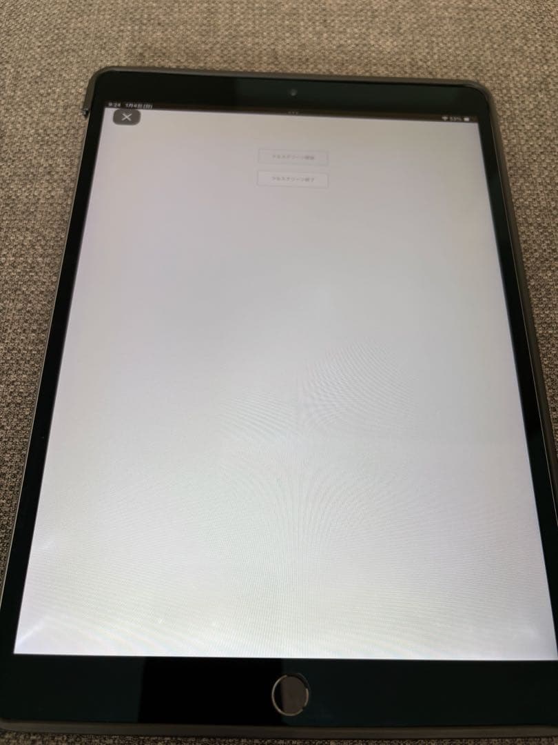 【120Hz高精細】iPad Pro 10.5 64GB スペースグレイ