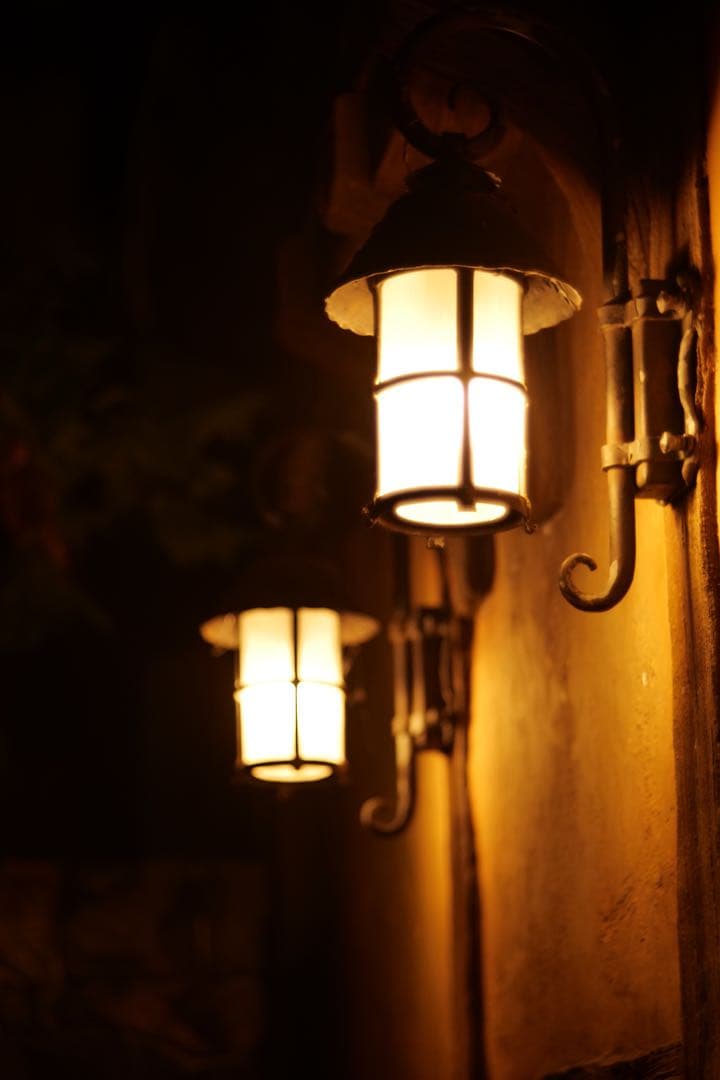 Meyer Trioplan N 100mm f2.8 メイヤー トリオプランN