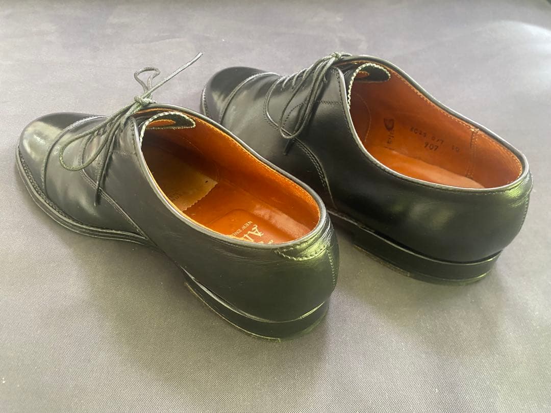 Alden ストレートチップ　キャップトゥ907 8D 26cm