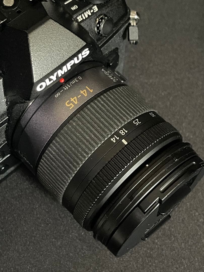 OLYMPUS OM-D E-M1 Mark II ブラック おまけ付