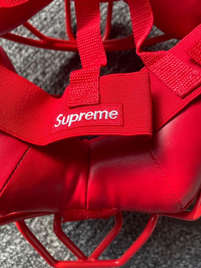 タグ付き Supreme Rawlings Catcher's Mask