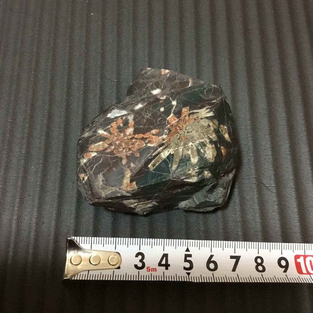 岐阜県根尾谷産の菊花石