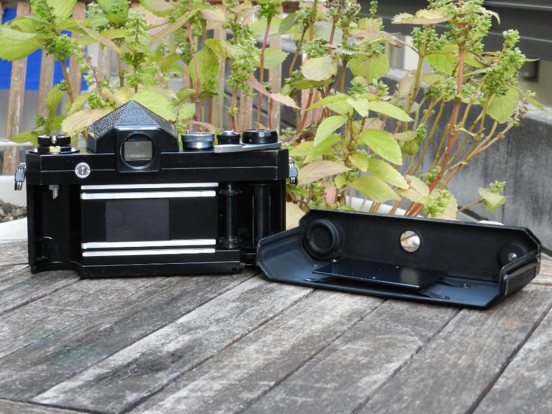 極美品　Nikon F ブラック　Nikkor-s 50 1.4 即撮影可