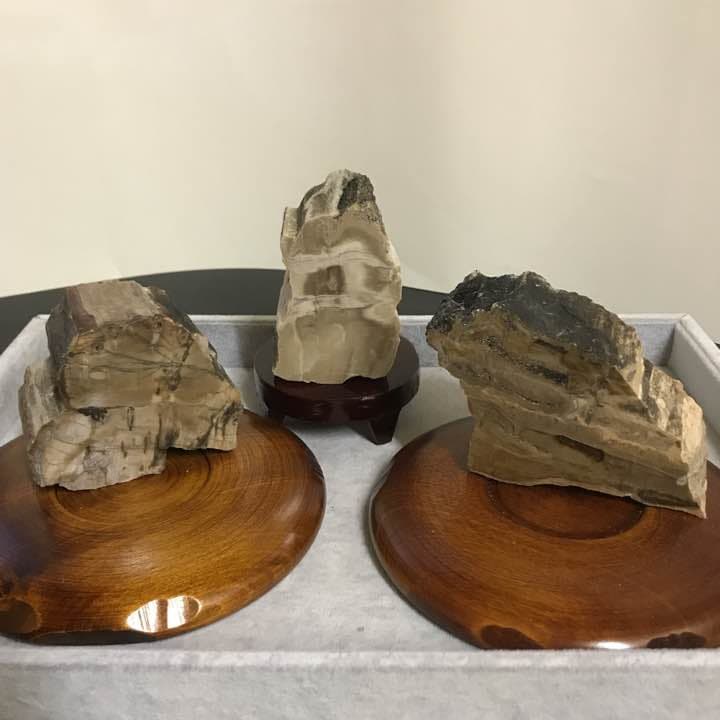 b★特選オンリー１品石★木の化石☆【ペトリファイドウッド珪化木✴︎原石】♡