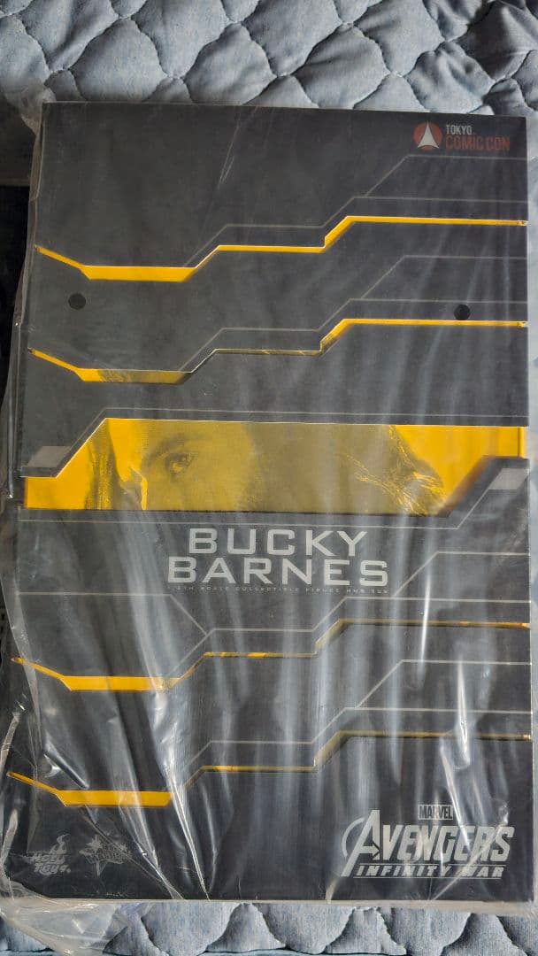 東京コミコン限定　バッキー・バーンズ　ホットトイズ