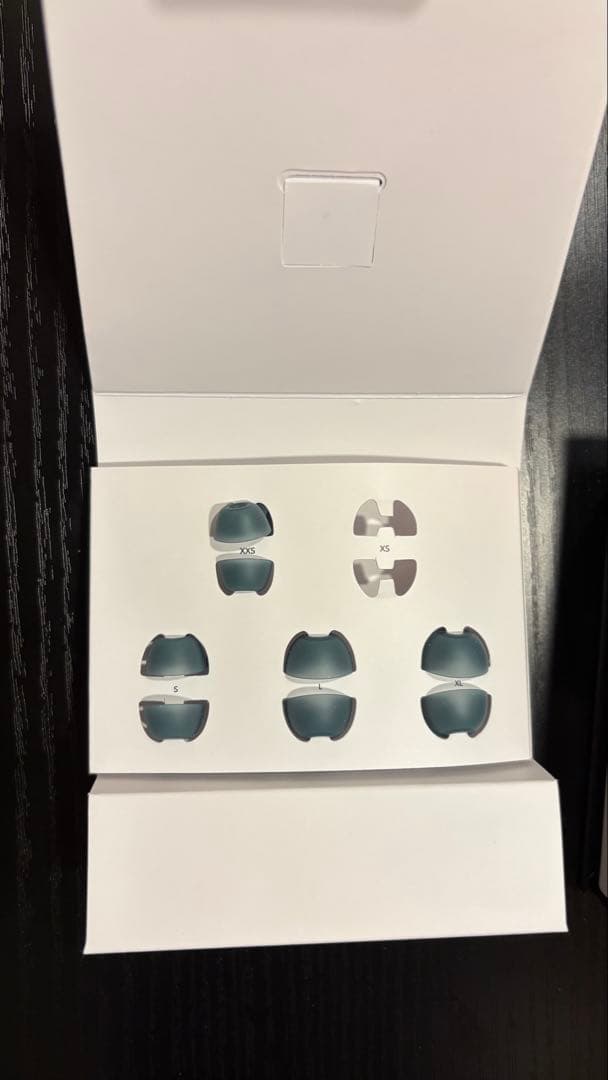 Anker Soundcore Liberty4Pro ⚠️他サイトでも出品中