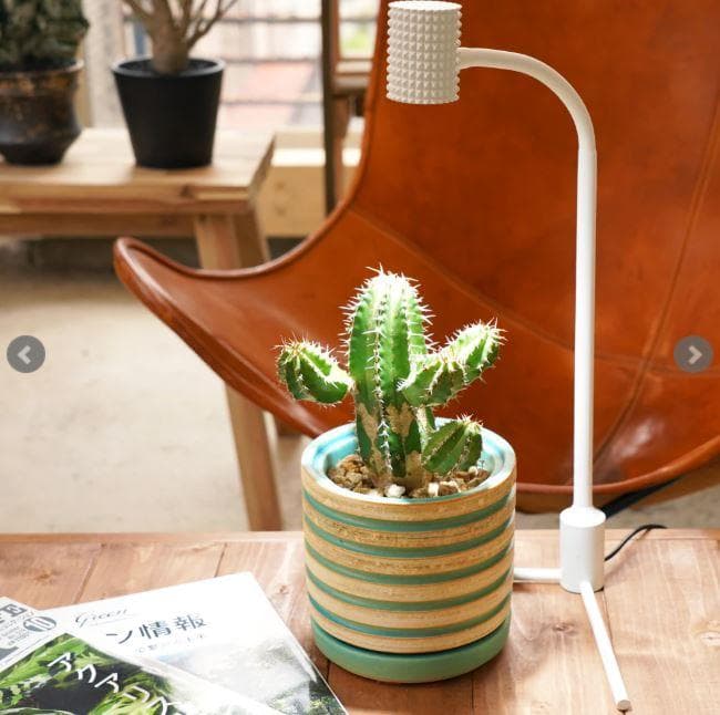 BARREL Yew-7w ホワイト スタンドライト 植物育成ライト 新品同様