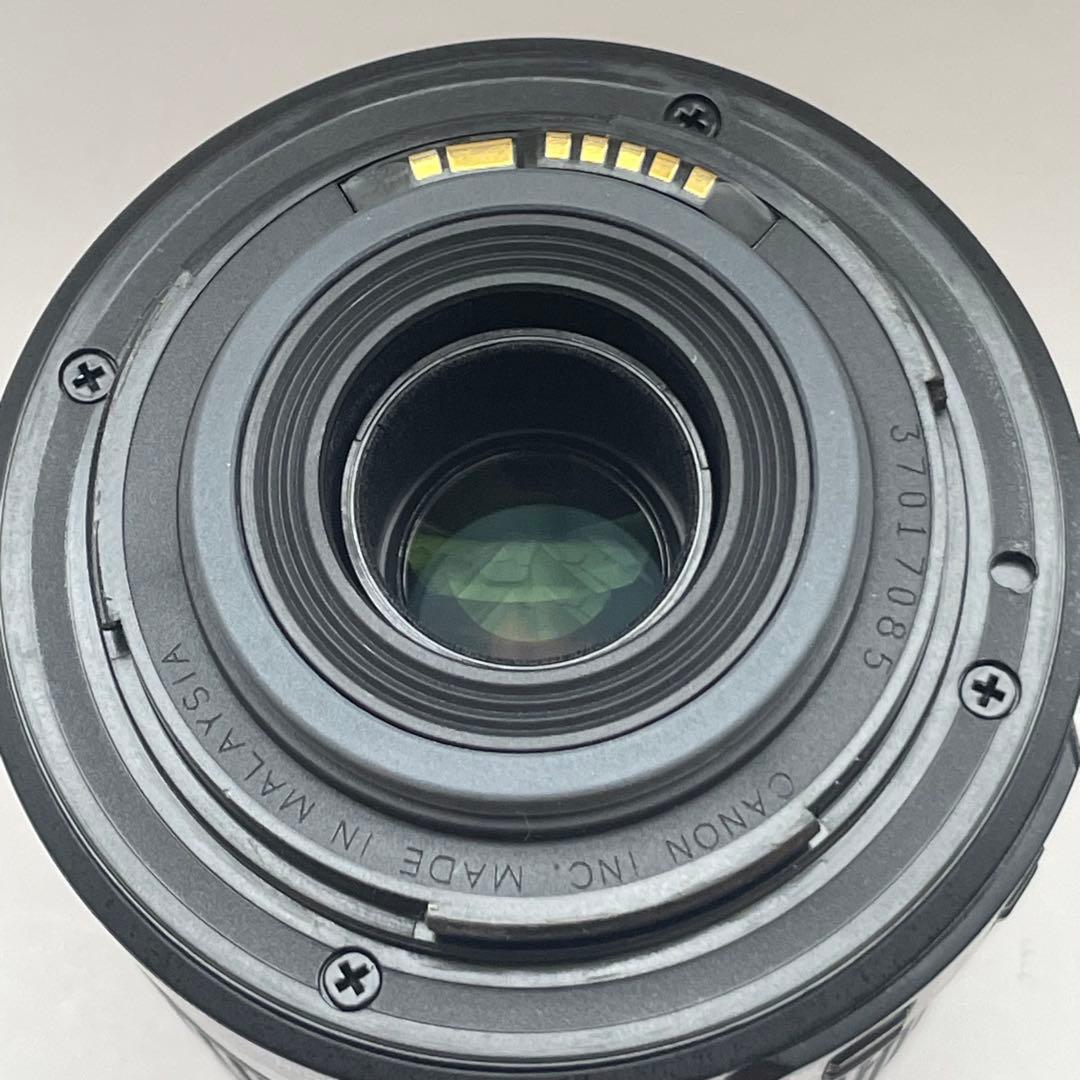 動作品 Canon EF-S 55-250mm ズームレンズ