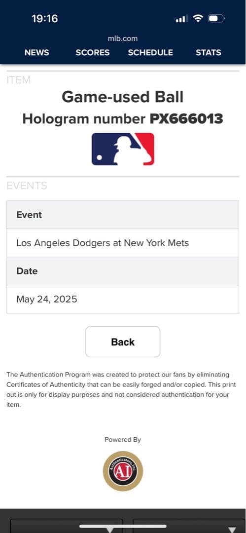 ドジャース大谷翔平選手出場試合実使用球メッツ戦