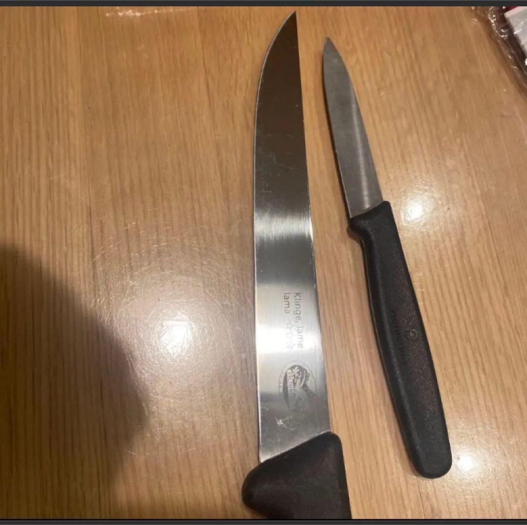 本場スイスで購入ラクレットセット＆victrinoxナイフ2本！等　全13点