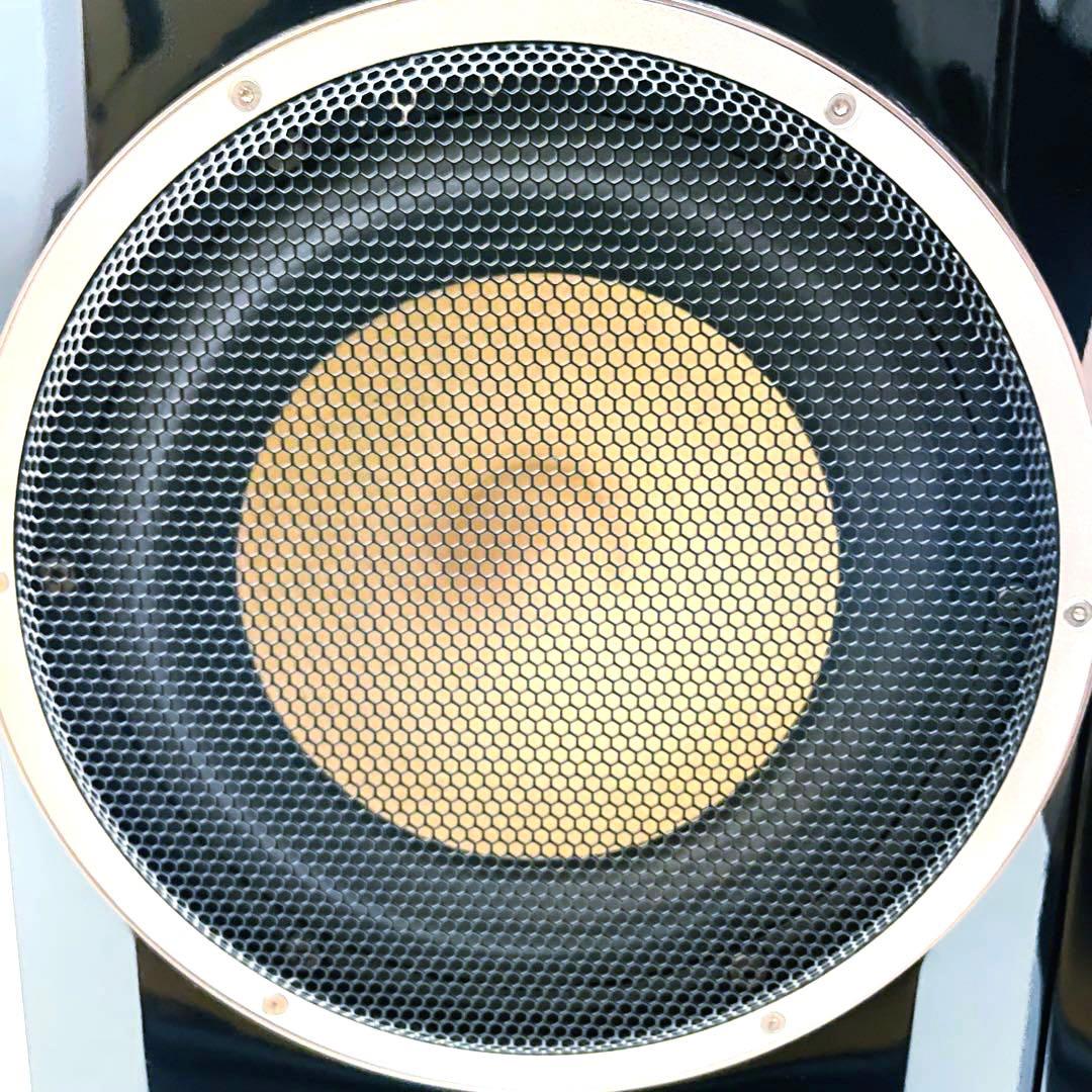 【超高級】定価350万 Naturephone 6501P1 スピーカーペア