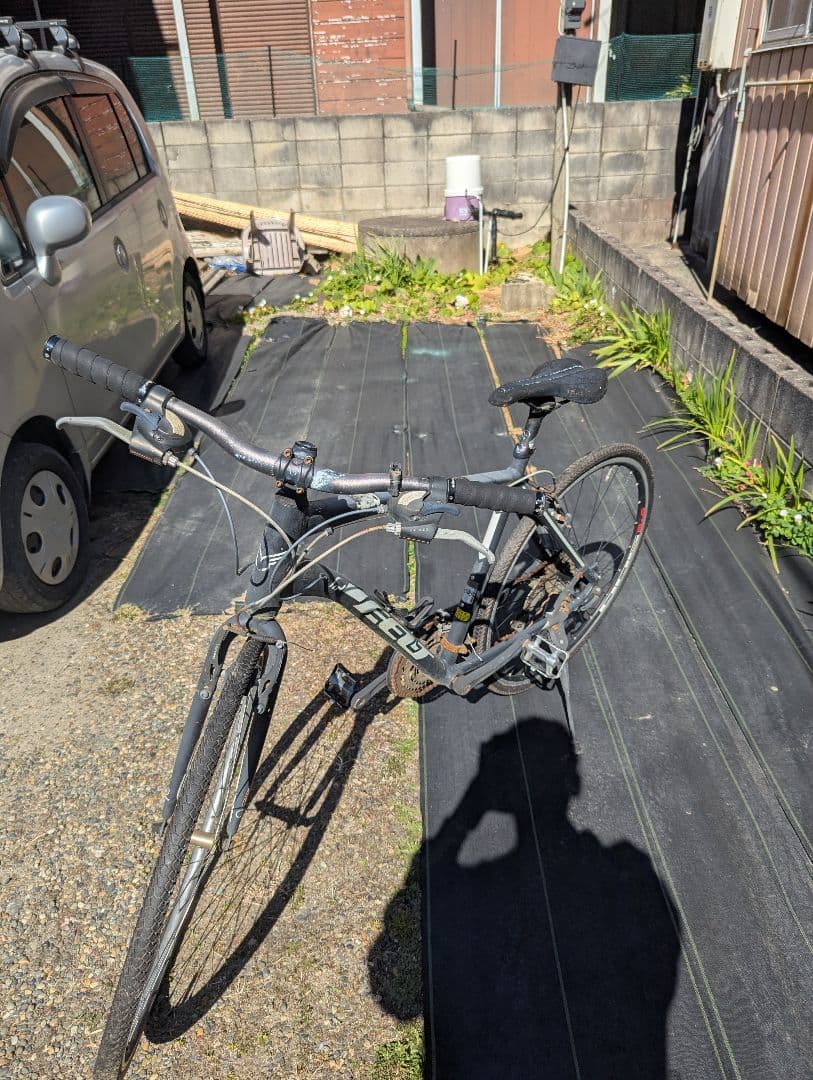 引き取り限定　felt qx65