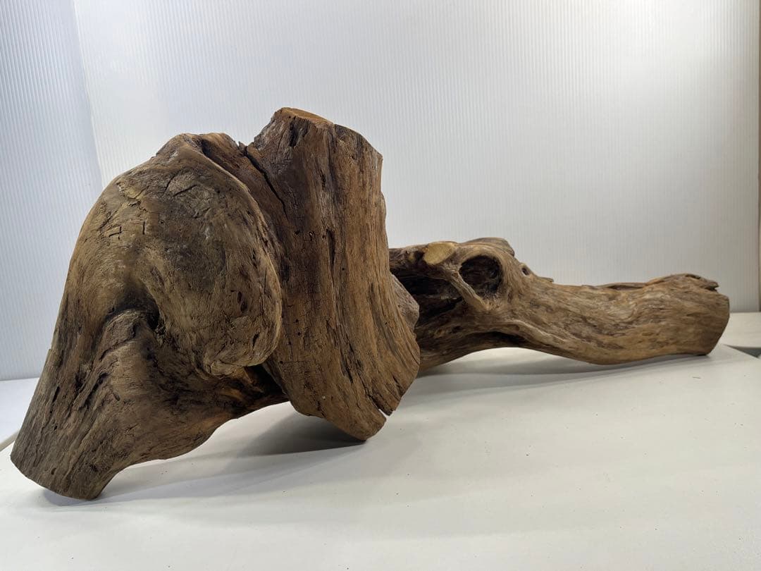 V70特大流木 アク抜き済み流木 爬虫類シェルター 登り木 インテリア 生け花