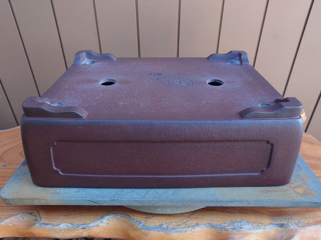 盆栽　鉢　山秋　幅41cm