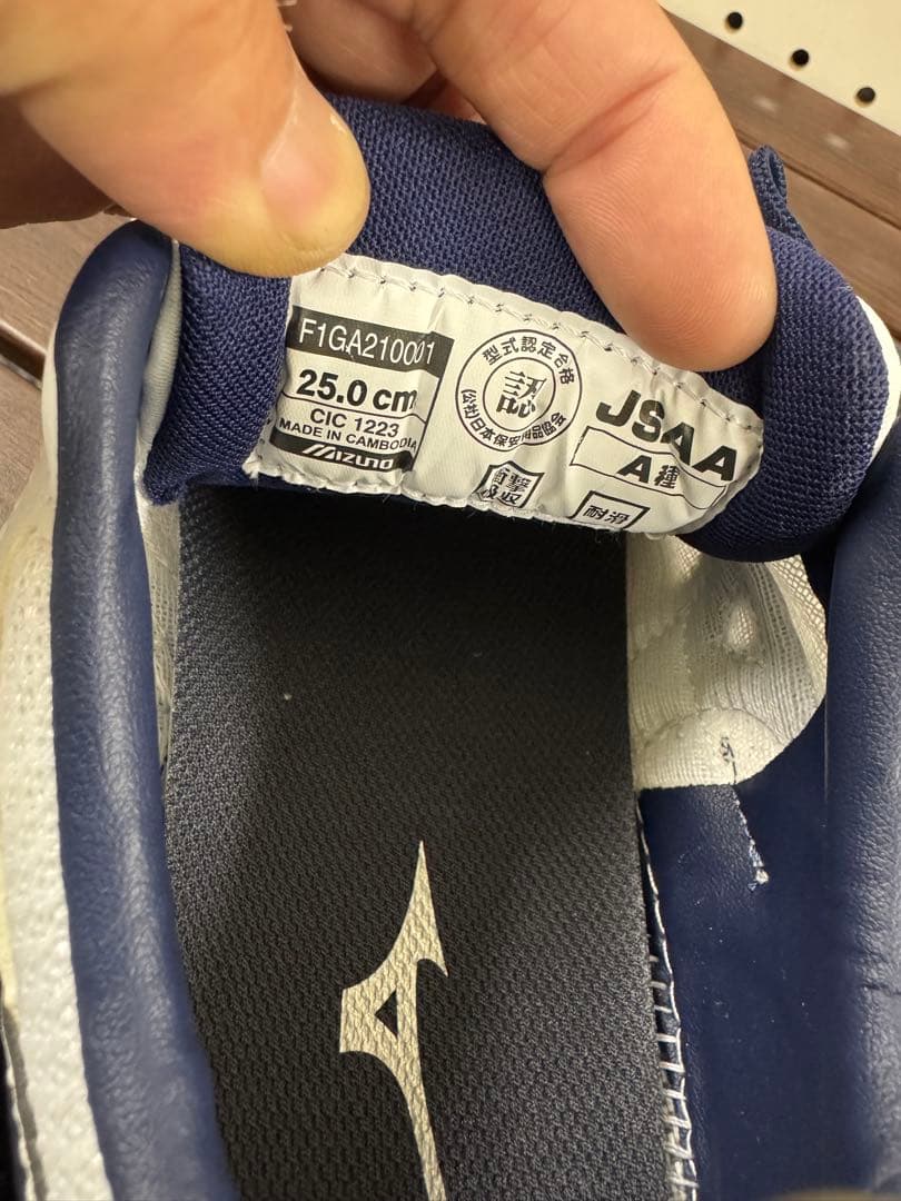 Mizuno ミズノ オールマイティLS II 11L 25㎝