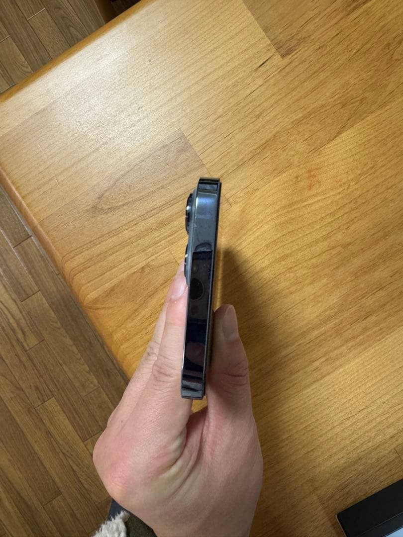 Apple iPhone 13 Pro Max シエラブルー