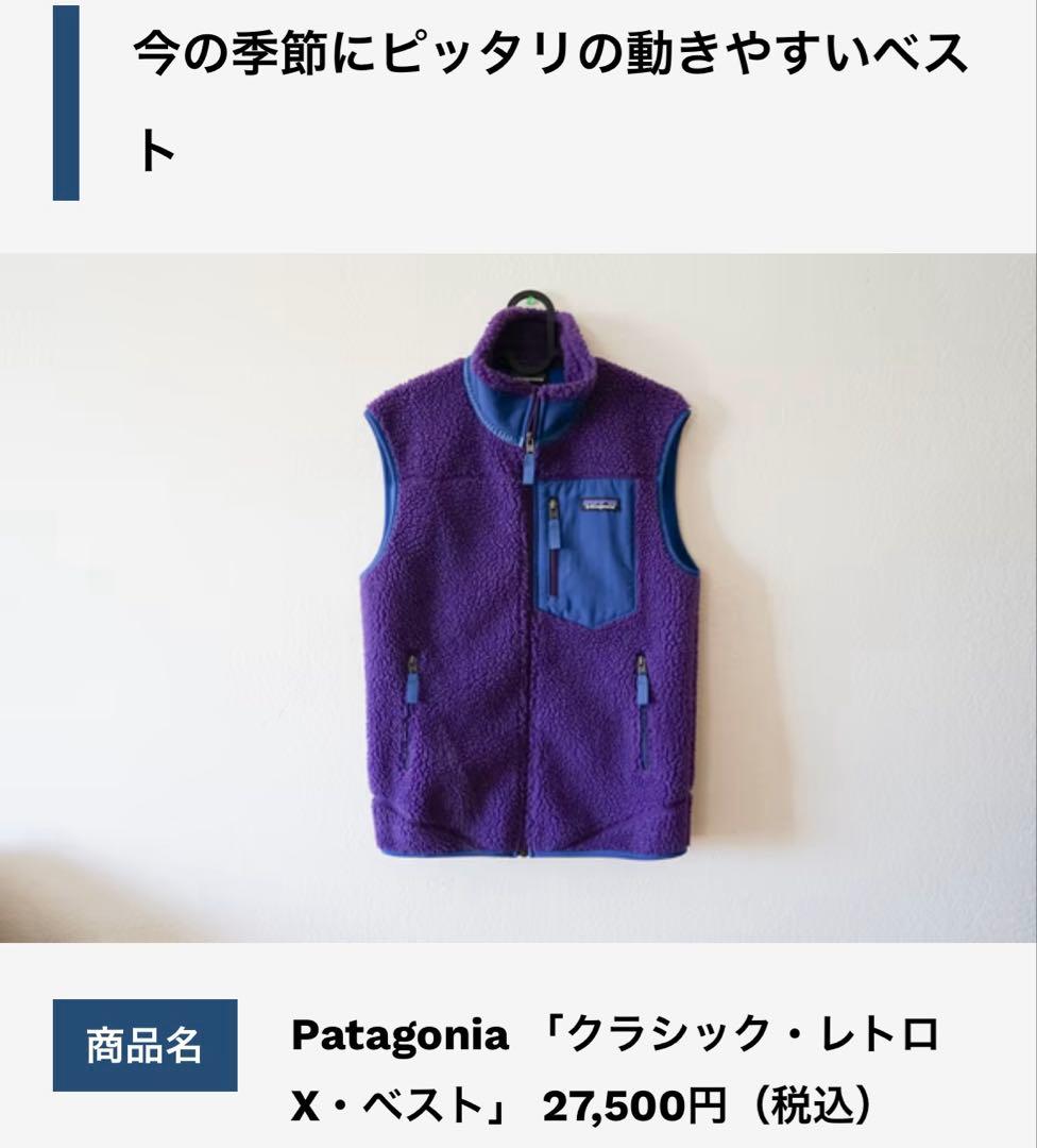 希少サイズ！パタゴニアクラシックレトロXベスト Mサイズ