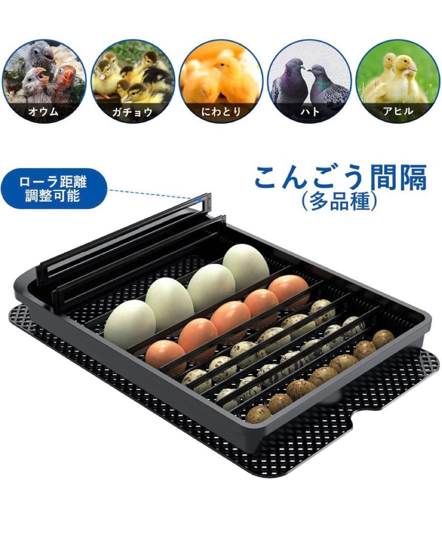 自動孵卵器 インキュベーター 鳥類専用ふ卵器 自動転卵式 孵化器24