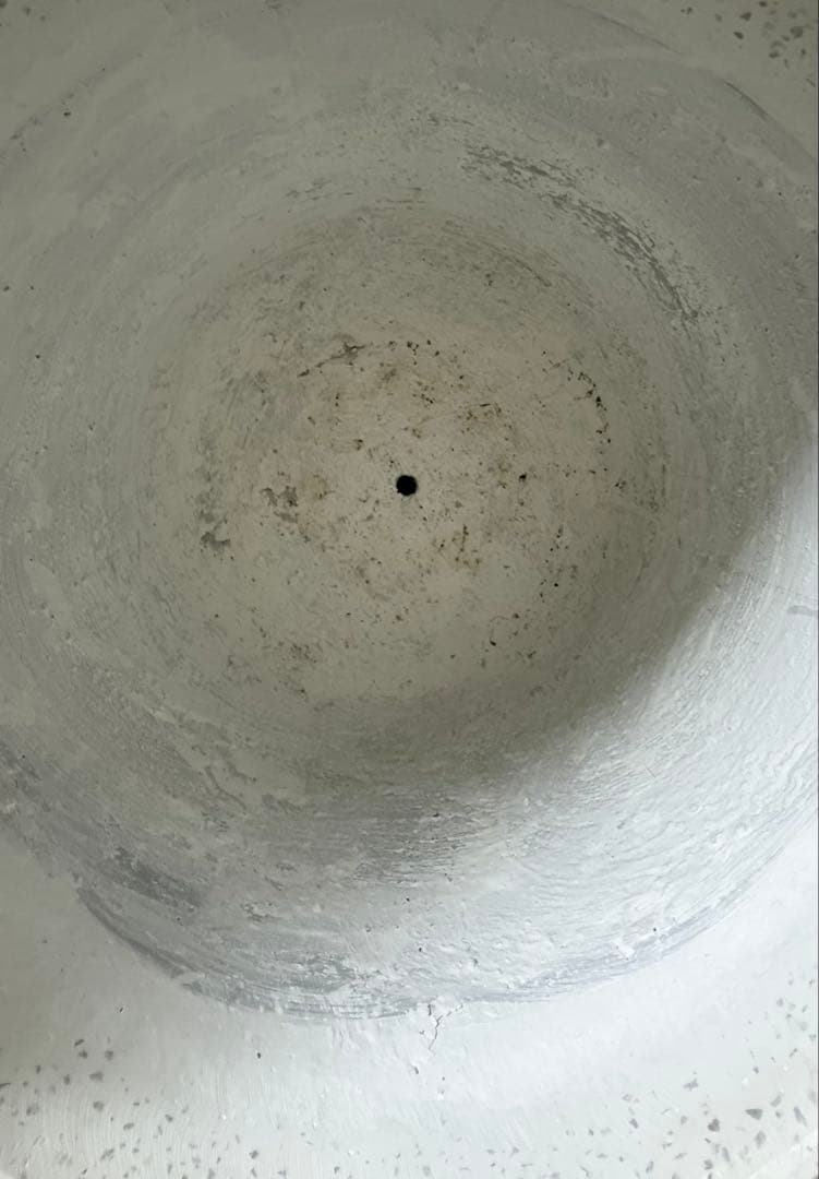 モン太　YAMATEI | プラントポット