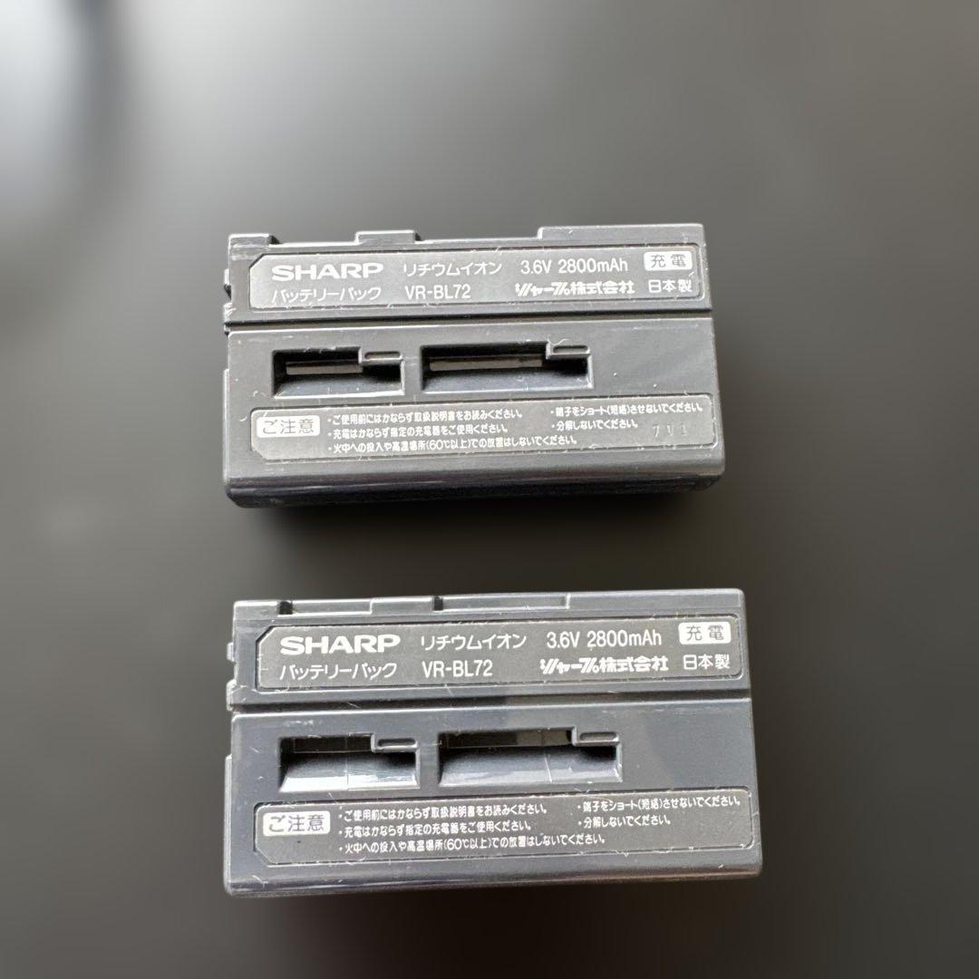 【値下】 SHARP DIGITAL VIEWCAM VL-DX1