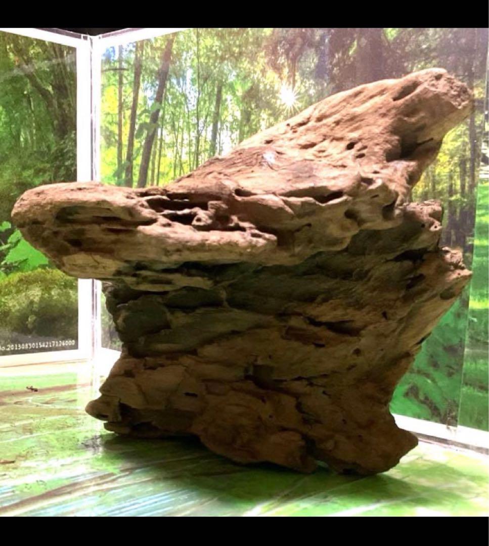 モスキート4点 天然水槽用流木