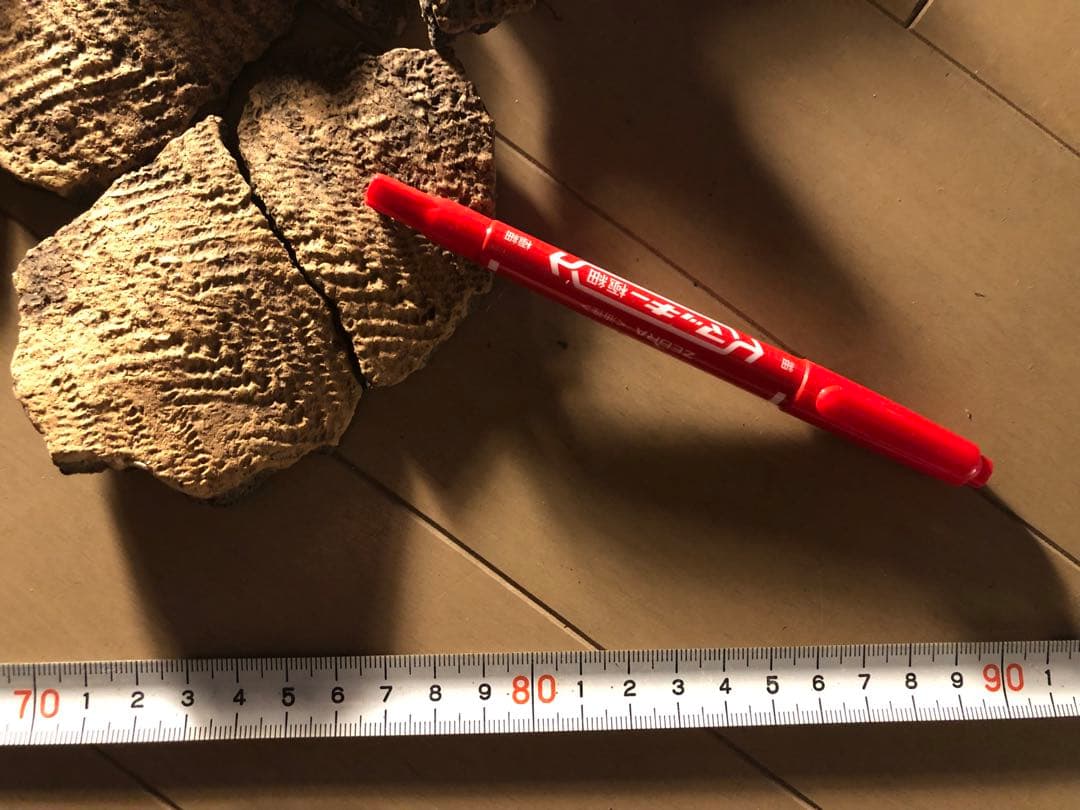 「縄文土器の欠片 No.534」です。