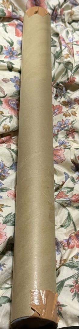 アニメ僕の心のヤバイやつ2期 あたらよ こはならむサイン入りポスター