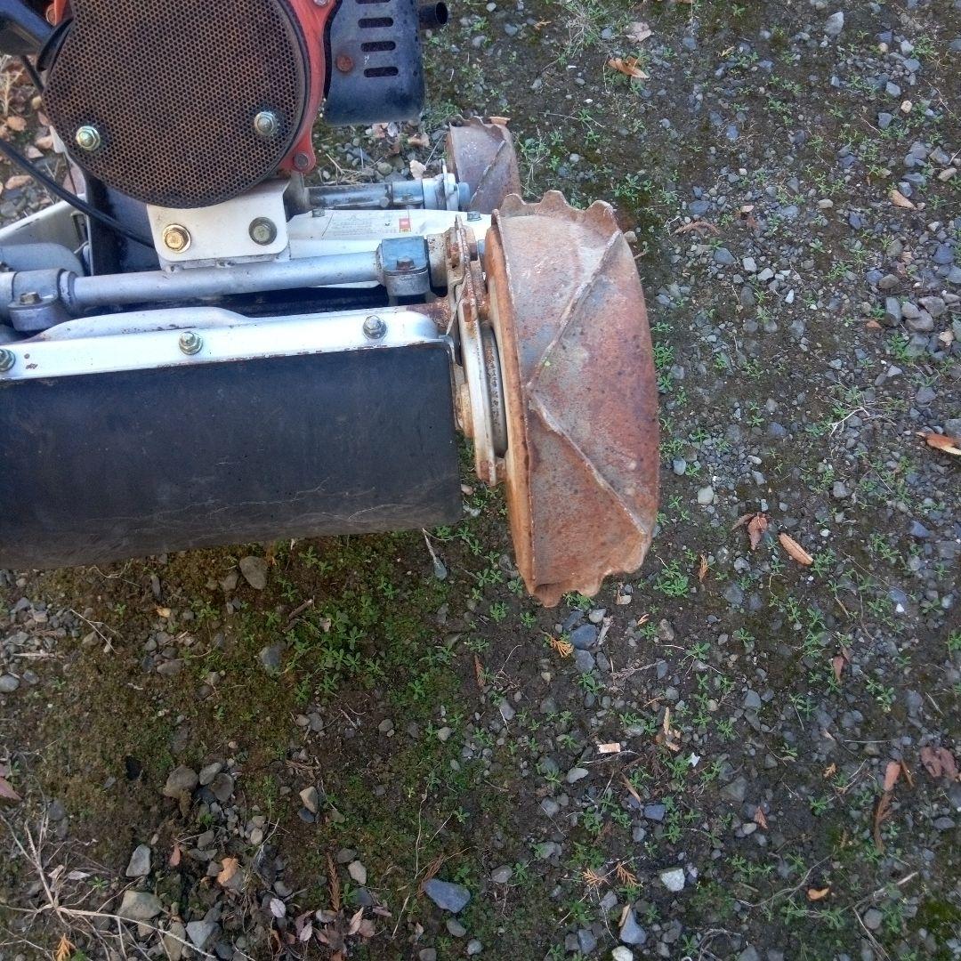 スパイダルモア引取限定