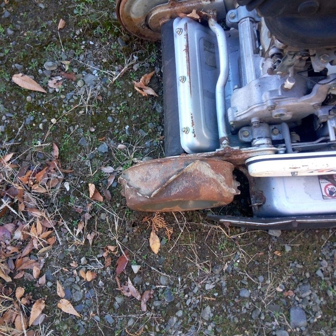 スパイダルモア引取限定