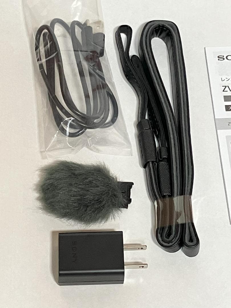 美品 SONY ZV-E10 ボディ