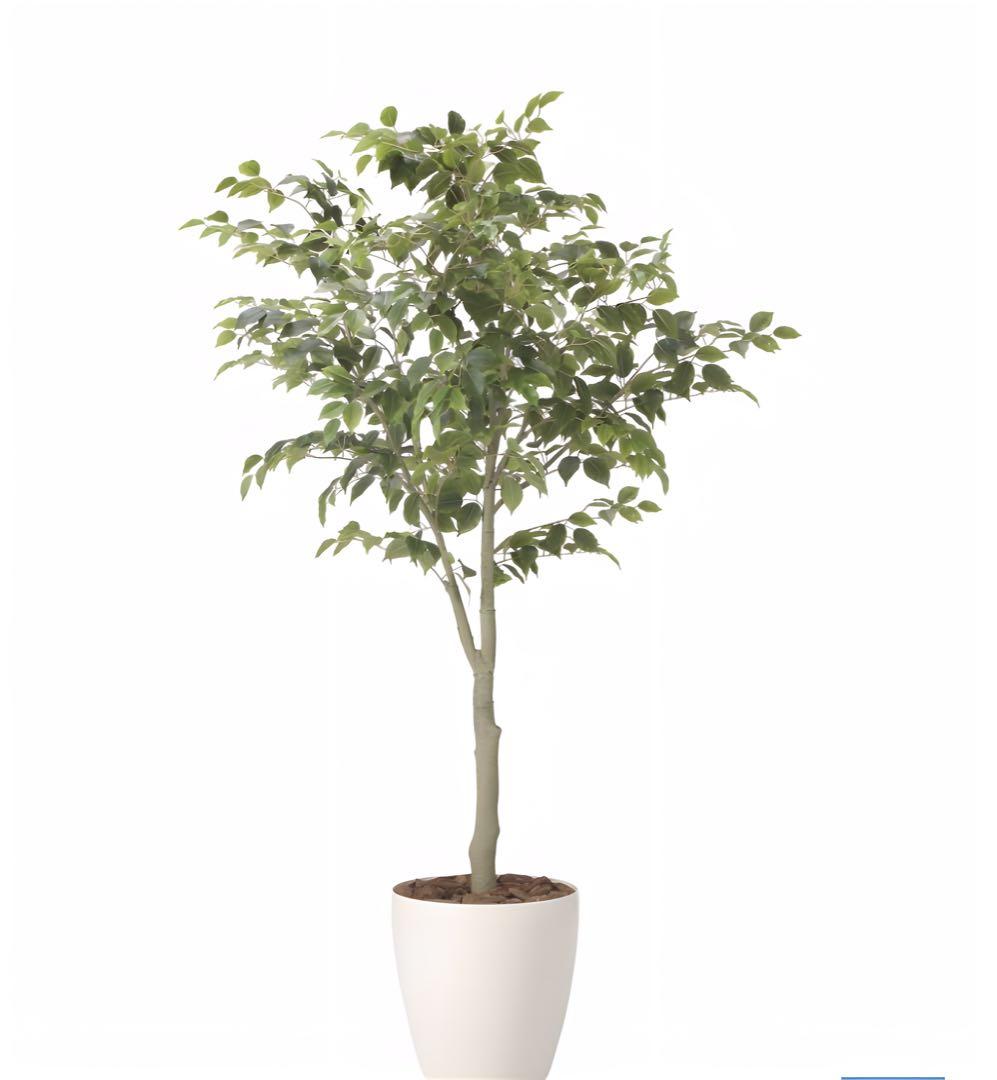 光触媒　人工観葉植物　ウォールグリーン　フェイクグリーン　フィカスツリー1.85