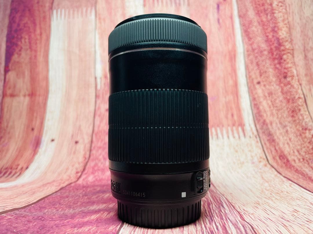 CANON キャノン EF-S 55-250mm 1:4-5.6 IS STM