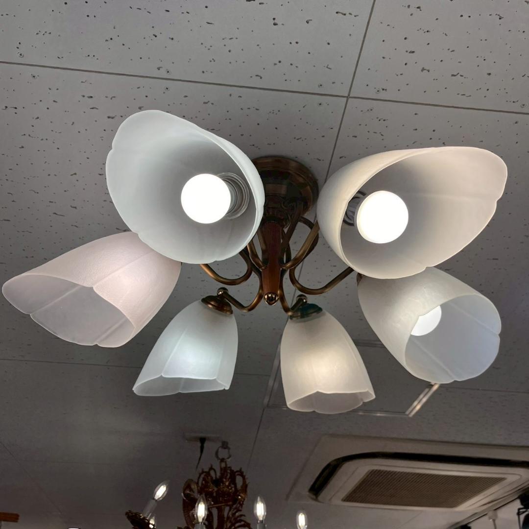 YAMADA 山田照明 SINKO 6灯 ペンダントライト 照明 ランプ