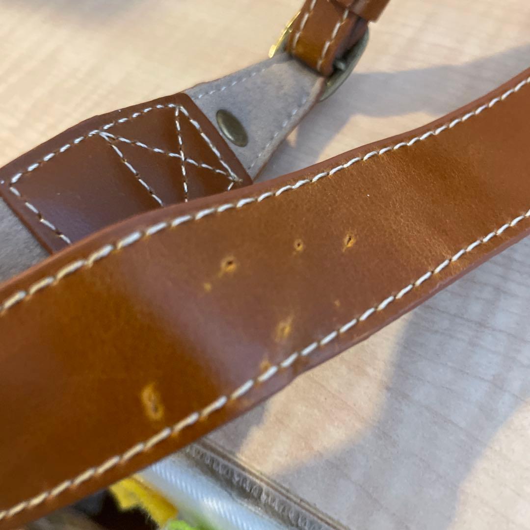 中古美品 パナソニック LUMIX G DC-GF10W 4K 専用カバー付き