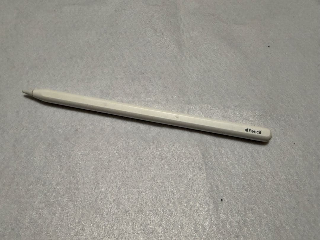 ✪*✪様 Apple iPad mini 6 セルラーモデル　+ apple p