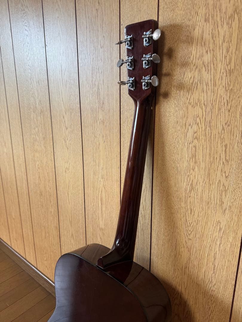 Elite Takamine アコースティックギター F120