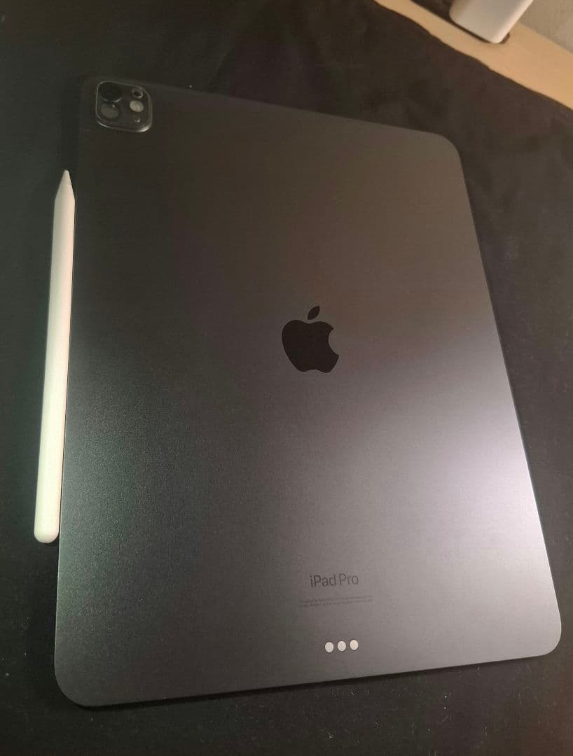 iPad本体 Apple iPad Pro m4 Wi-Fi 512GB