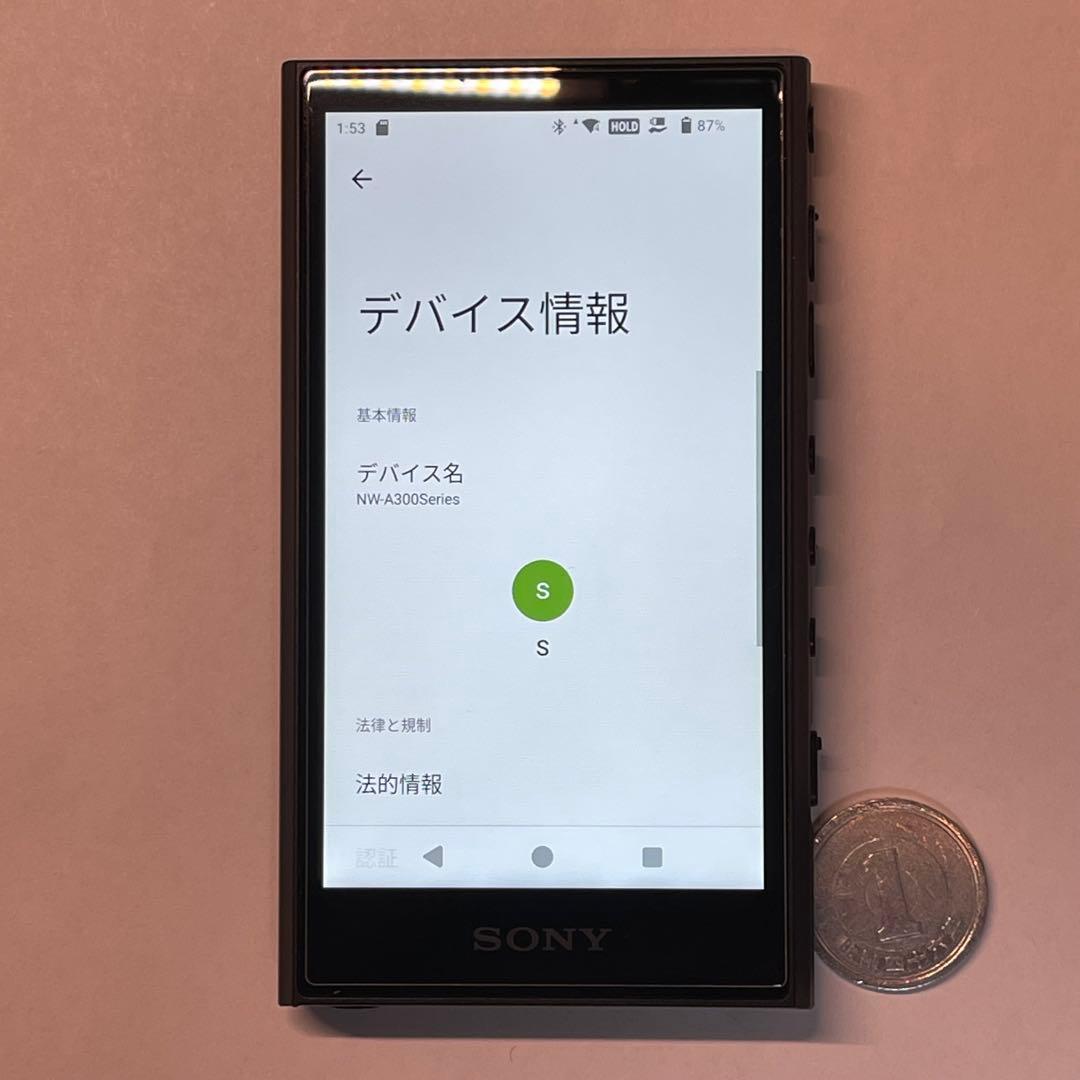 ウォークマンNW-A306 本体のみ