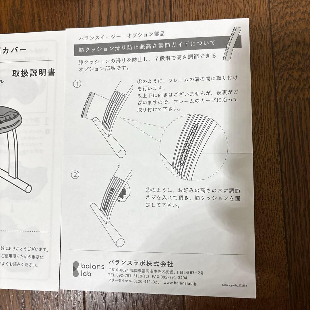 【極美品】balans Easy バランスイージー 通常フレーム オプション付き