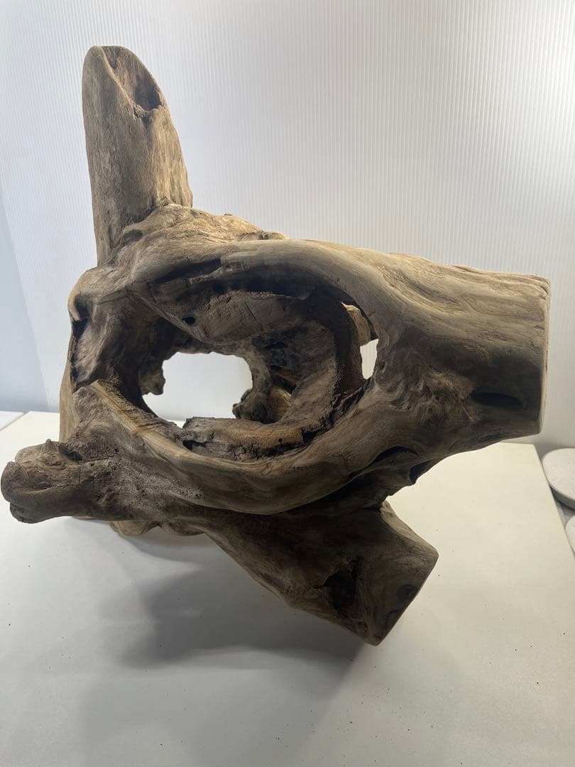 R79アク抜き済み流木 爬虫類シェルター 登り木 インテリア 生け花