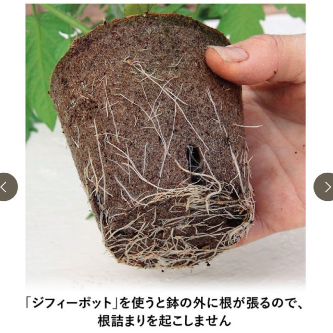 ジフィーポット丸型 8cm 約1400個入 スリット入り#130そのまま植えれる
