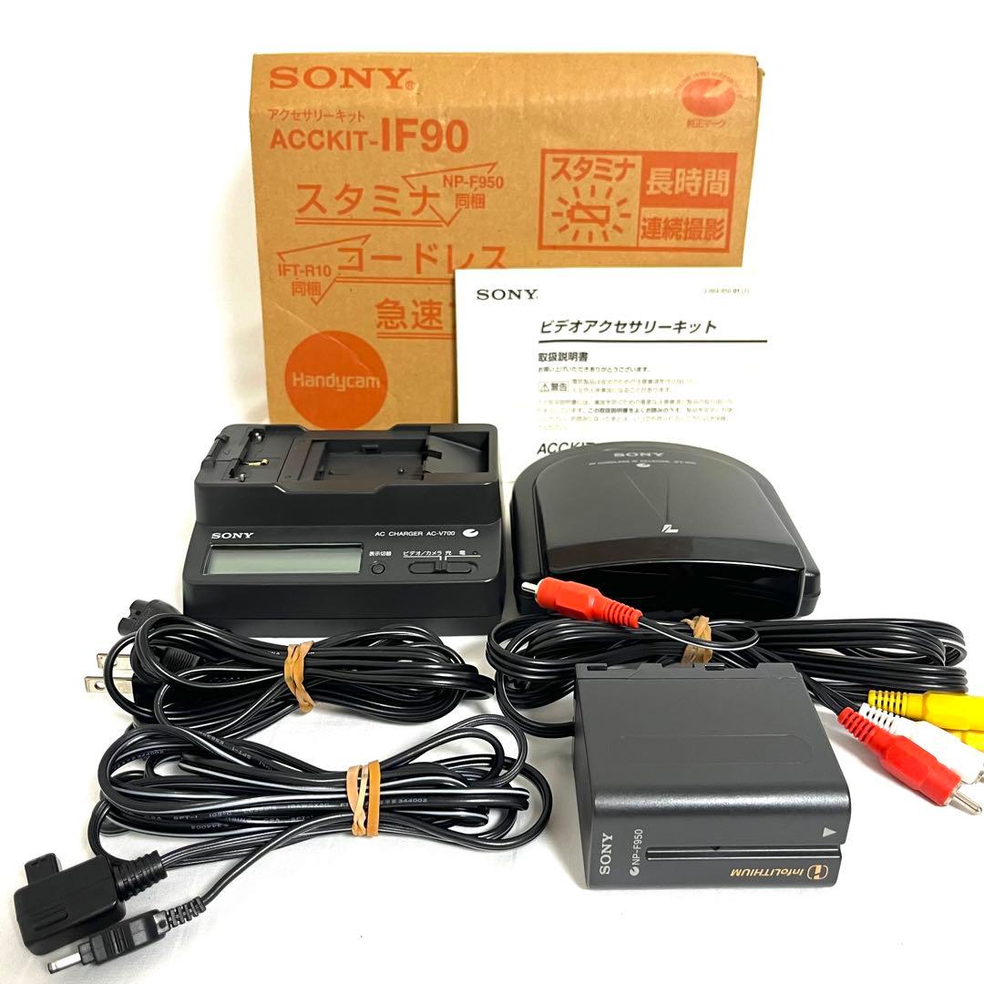 【付属品多数】SONY DCR-TRV900 ミニDV ビデオカメラ ソニー