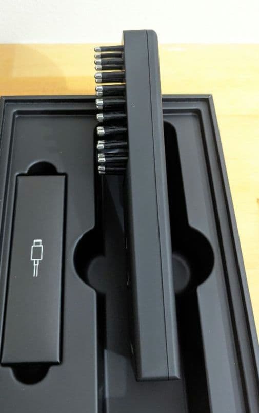 Brighte ELEKIBRUSH＋ スカルプ　 美顔器　エレキブラシ　プラス