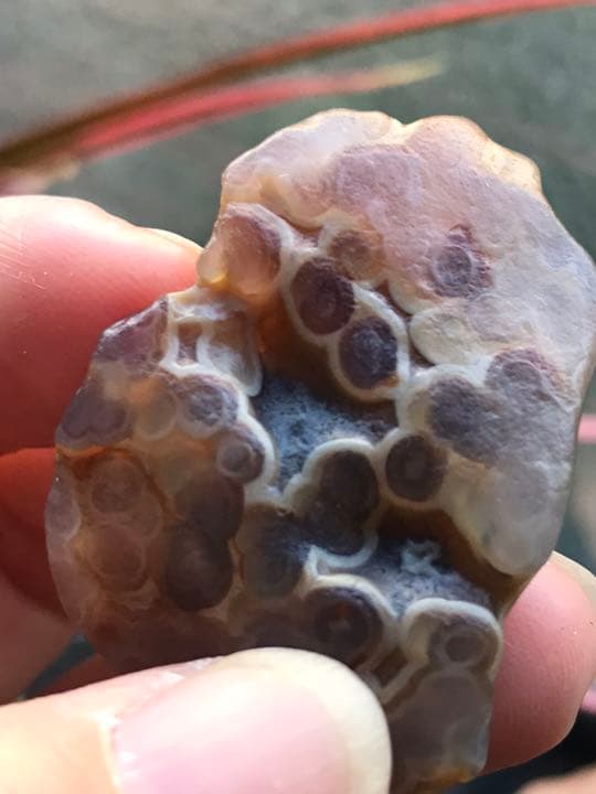 ゴビ石−111 ゴビ瑪瑙 花眼　蜂の巣　原石